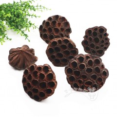 天然松果3cm-4cm厘米（15个/包