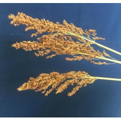 仿真稻谷50cm(3支/把)