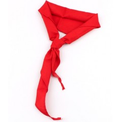 晨光M&G 学生红领巾 绸布/棉布少先队员领巾 1米/5条红领巾（ASCN9524）